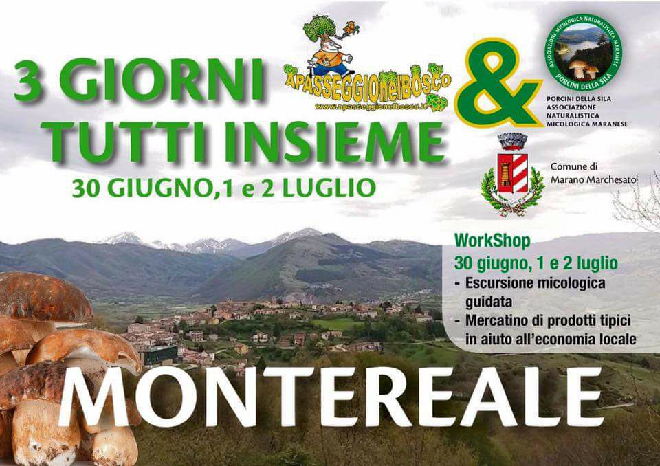 Immagine inserita