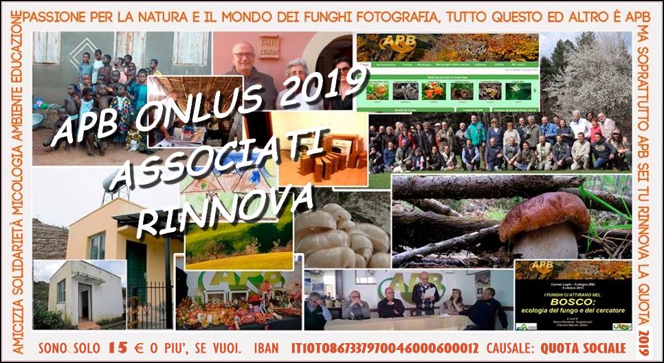 Immagine inserita