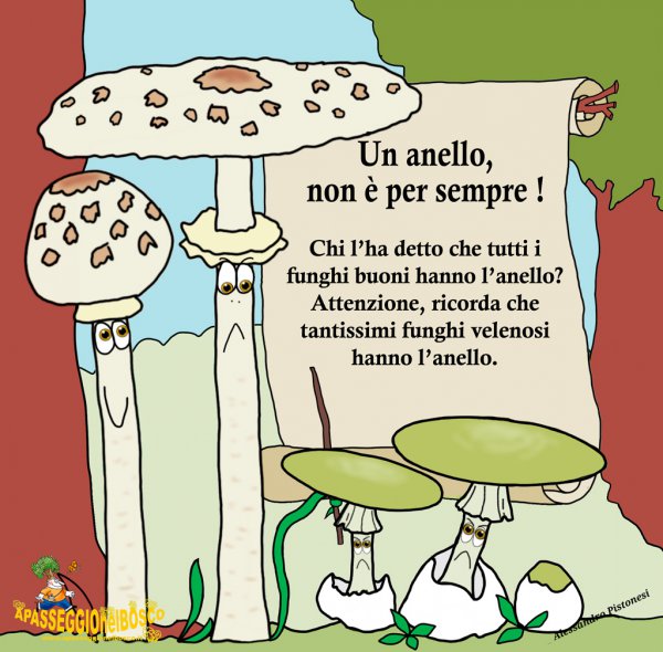 ANELLO-NEI-FUNGHI.jpg