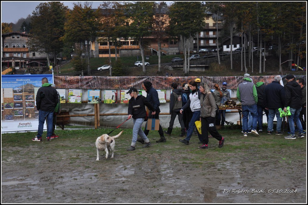 DSC_1872.jpg.95ea4b5fa14865fcdb767d94b3e20125.jpg