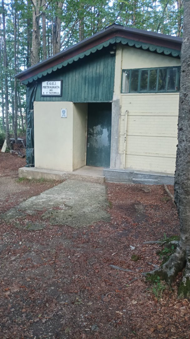 IMG-20250906-WA0006.jpeg