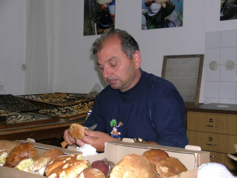 post-14-1125503122_thumb.jpg
