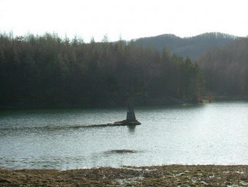 post-2600-1194631500_thumb.jpg